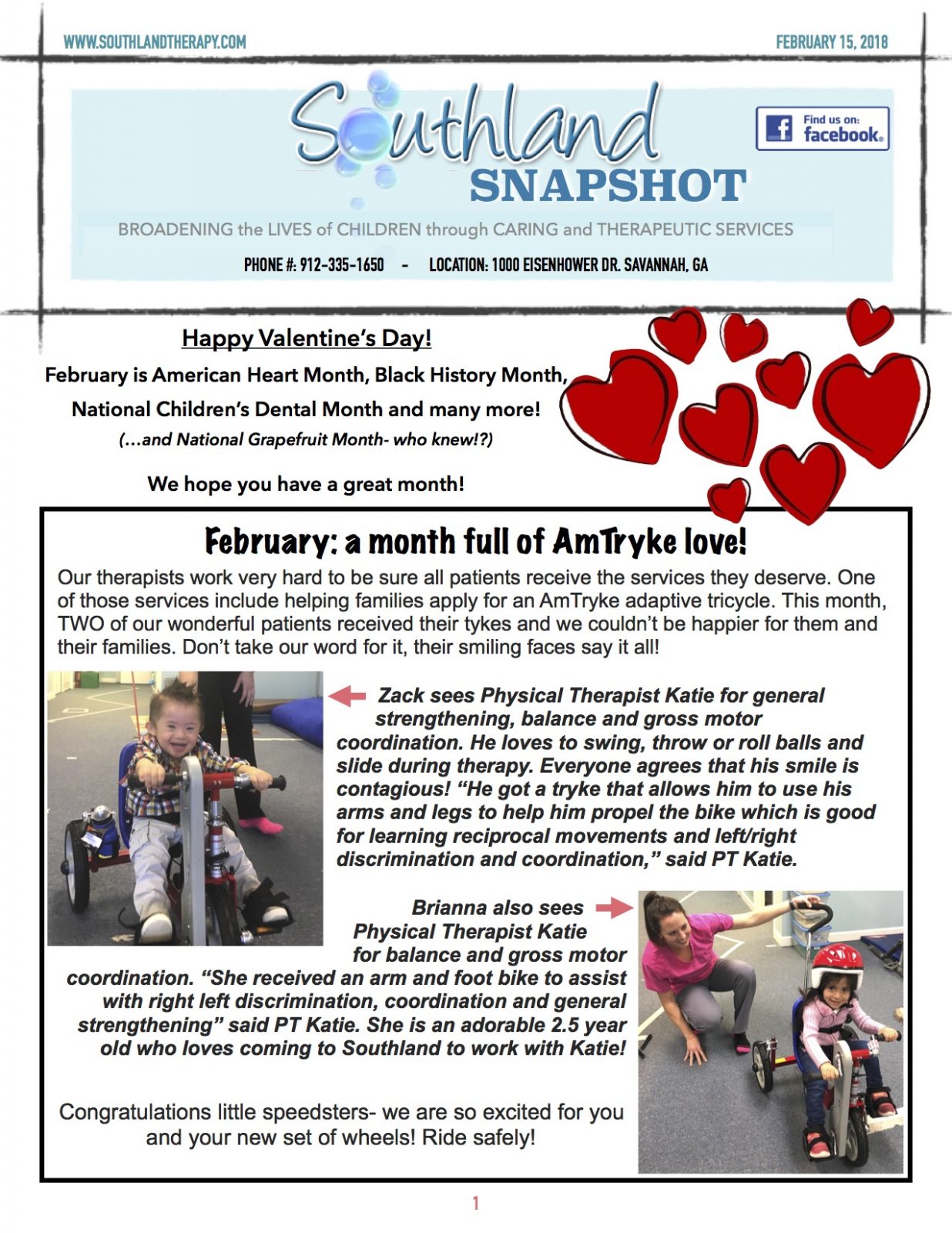 Newsletter- February 2018 JPEG 1